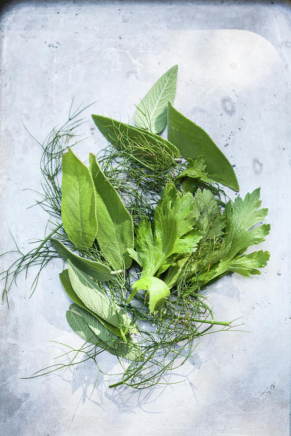 Various Fresh Herb Leaves Photograph by Eising Studio