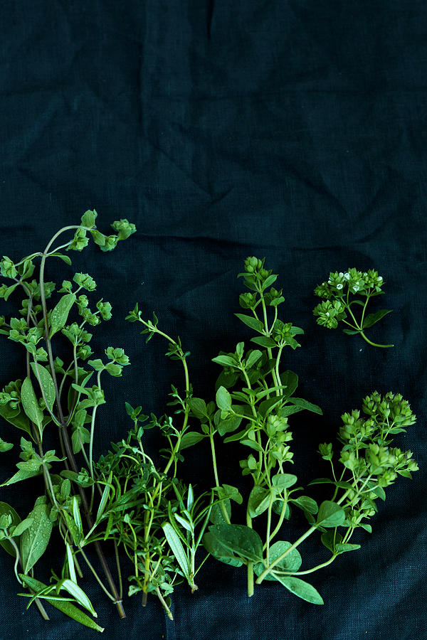 Various Fresh Herbs On A Dark Surface Photograph by Katrin Winner