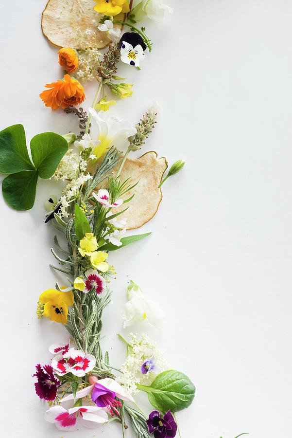 Various Fresh Herbs With Edible Flowers And Dried Pear Chips Photograph by Great Stock!