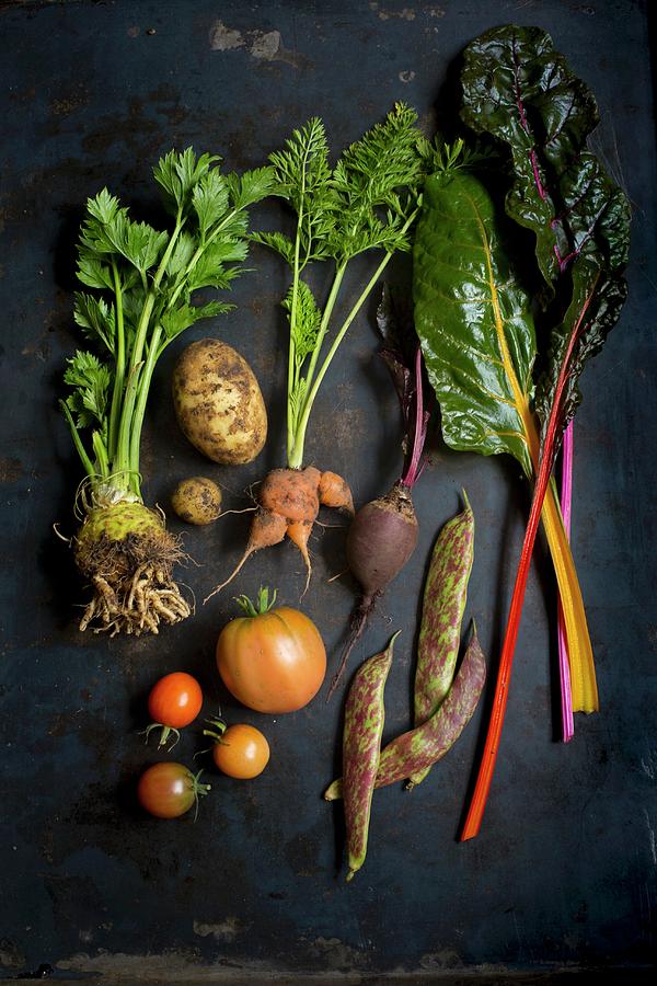 Various Fresh Vegetables On A Dark Surface seen From Above Photograph by Tina Engel