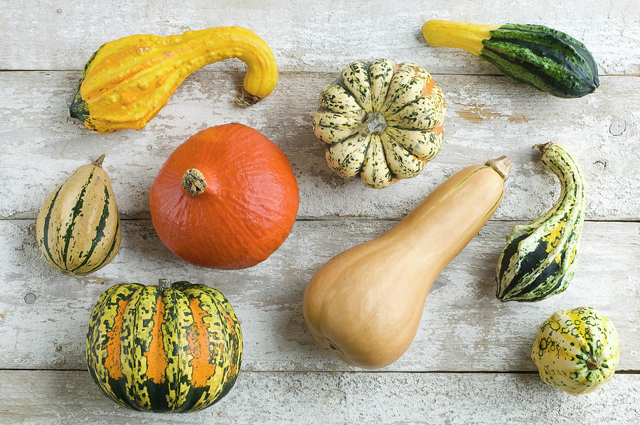 Various Gourds And Pumpkins On A Rustic Wooden Background Photograph by Achim Sass