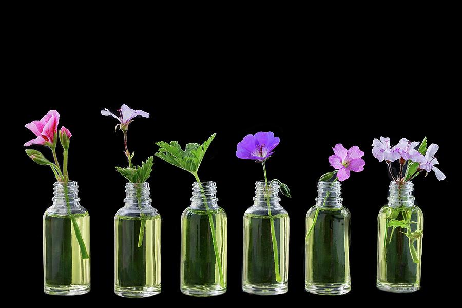 Various Healing Flowers In Small Oil Bottles Photograph by Jean-paul Chassenet