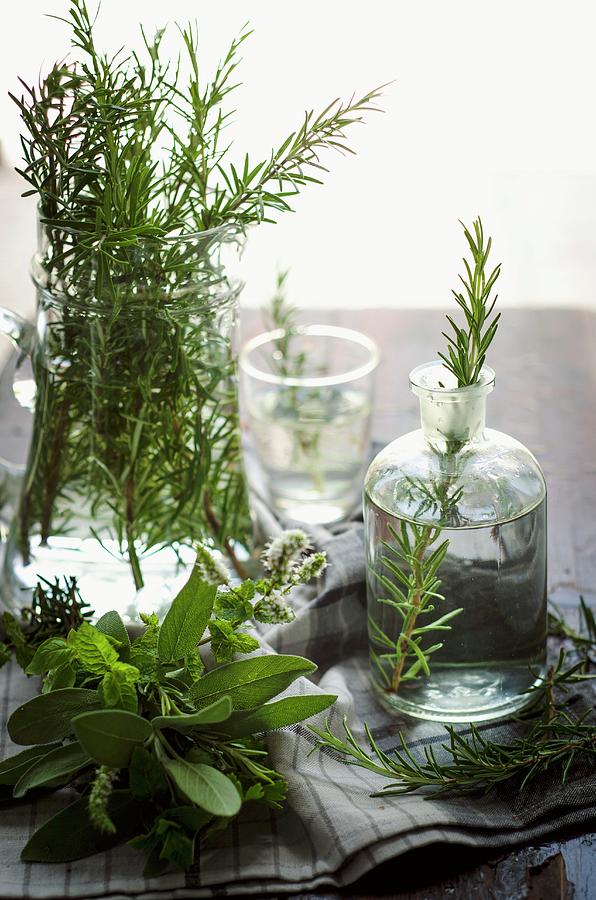 Various Herbs In Glass Containers Photograph by Aniko Szabo