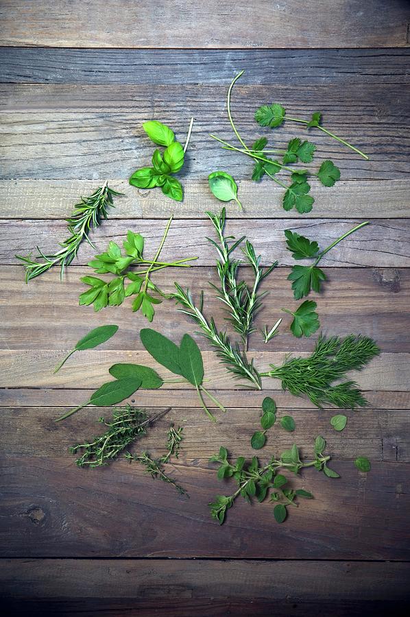 Various Herbs parsley, Dill, Oregano, Thyme, Sage, Rosemary, Lovage, Coriander, Basil On A Wooden Surface Photograph by Achim Sass