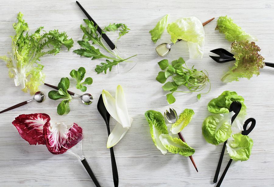 Various Lettuce Leaves With Salad Servers Photograph by Peter Garten