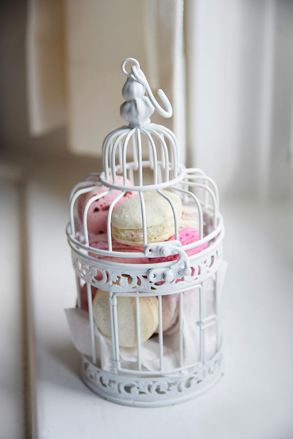 Various Macaroons In A Decorative Bird Cage Photograph by So Schmeckt Liebe