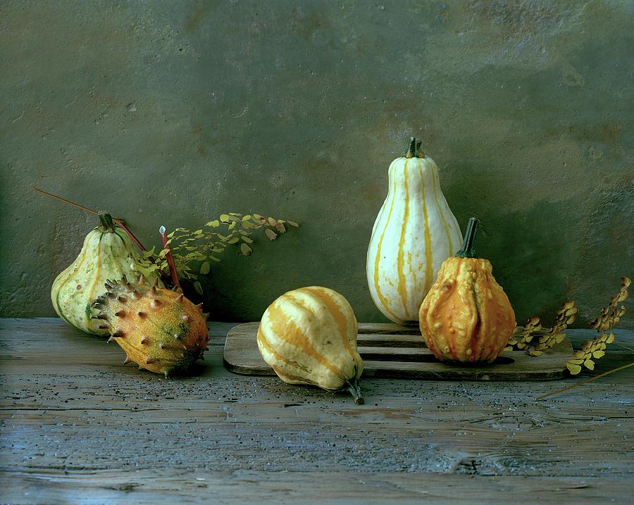 Various Ornamental Pumpkins On A Wooden Surface Photograph by Matthias Hoffmann