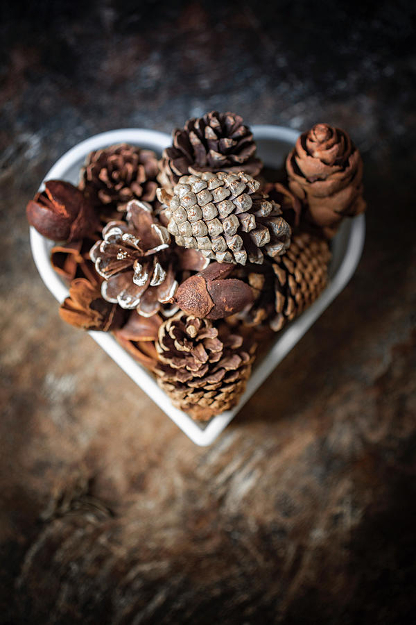 Various Pine Cones Etc. In Heart-shaped Bowl Photograph by Eising Studio