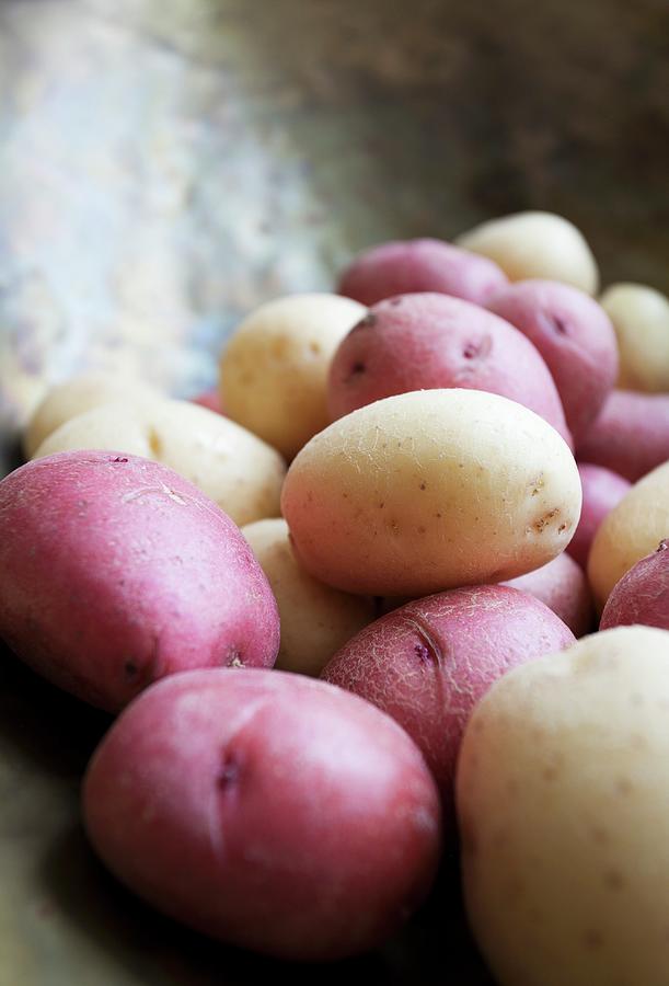 Various Potatoes On A Pair Of Old Kitchen Scales close-up Photograph by Ryla Campbell