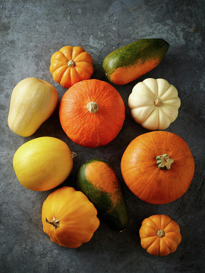 Various Pumpkin Varieties Photograph by James Lee
