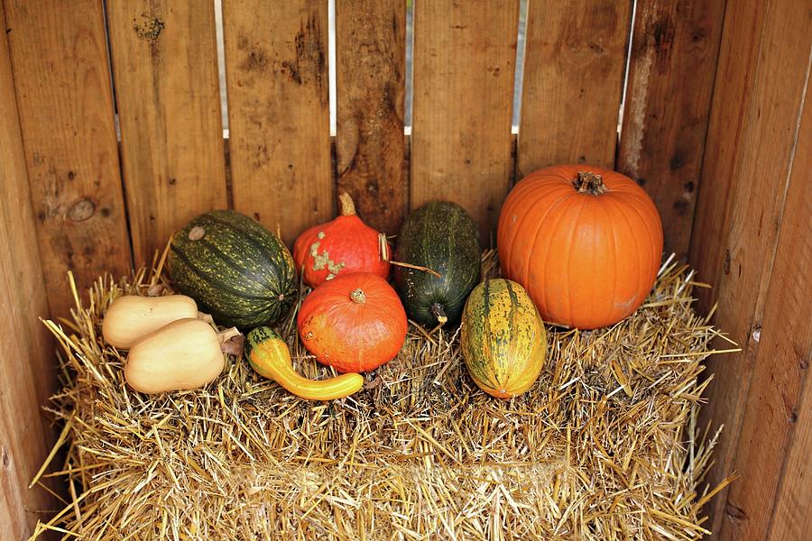 Various Pumpkins On Bale Of Straw In Wooden Crate Photograph by Alexandra Panella