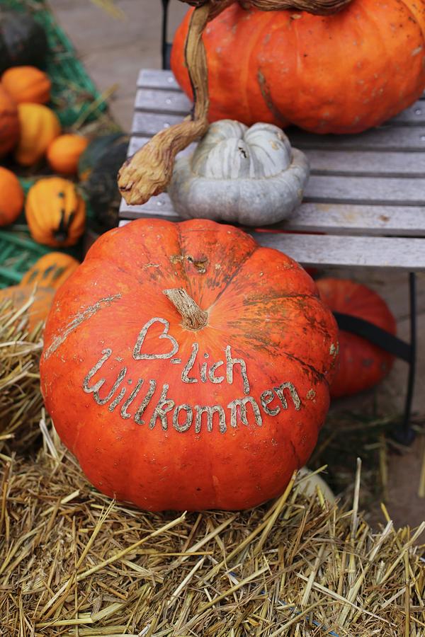 Various Pumpkins On Chair And Bale Of Straw - Motto Written On One Pumpkin Photograph by Alexandra Panella