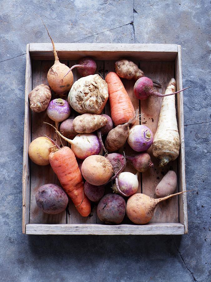 Various Root Vegetables In A Tray Photograph by Oliver Brachat - Pixels