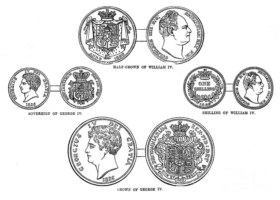 Various Sovereigns, C1895 Drawing by Print Collector