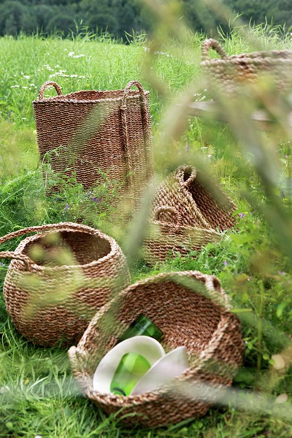 Various Storage Baskets In Meadow Photograph by Annette Nordstrom
