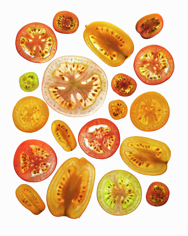 Various Tomato Slices Photograph by Vadim Piskarev
