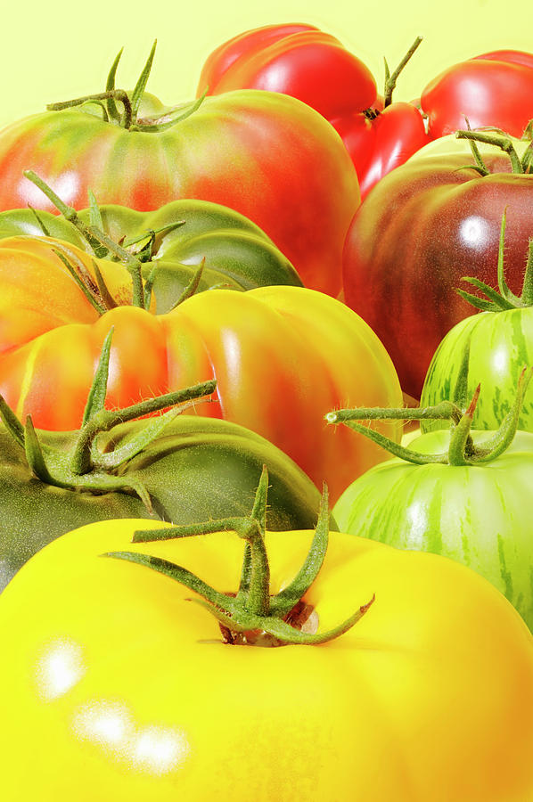 Various Tomatoes, Close Up, Studio Shot Photograph by Paul Taylor