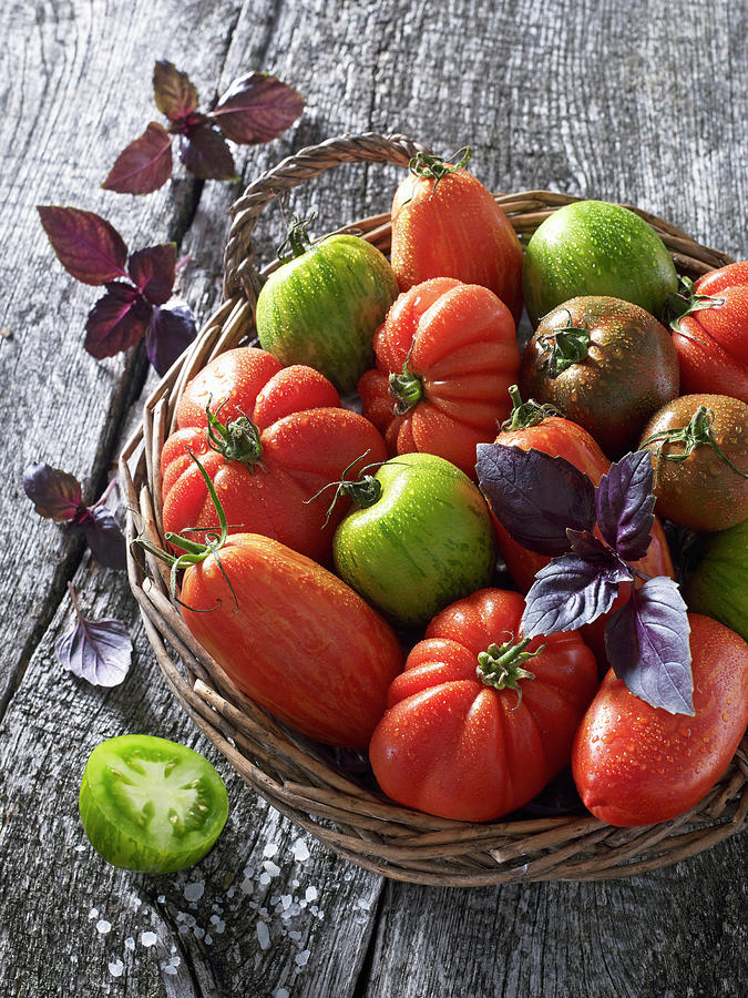 Various Tomatoes With Basil In A Wicker Basket Photograph by Frank Gllner