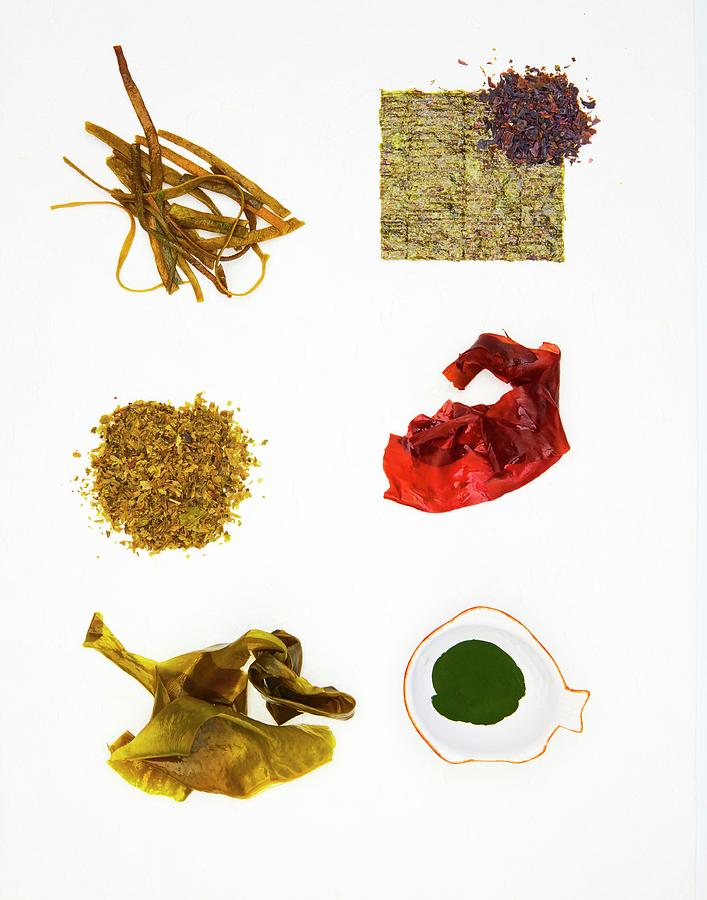 Various Types Of Algae: Sea Spaghetti, Nori, Sea Salad, Dulse, Wakame, Chlorella Photograph by Jalag / Stefan Bleschke
