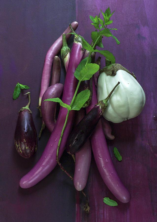 Various Types Of Aubergine With Mint Photograph by Brbel Bchner
