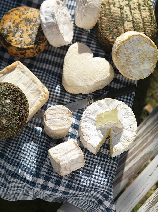 Various Types Of Cheese From Normandy Photograph by Joerg Lehmann