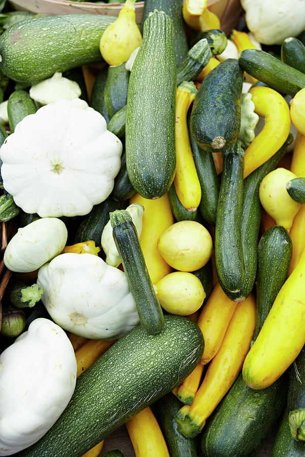 Various Types Of Courgette And Pumpkins Photograph by Oliver Brachat ...