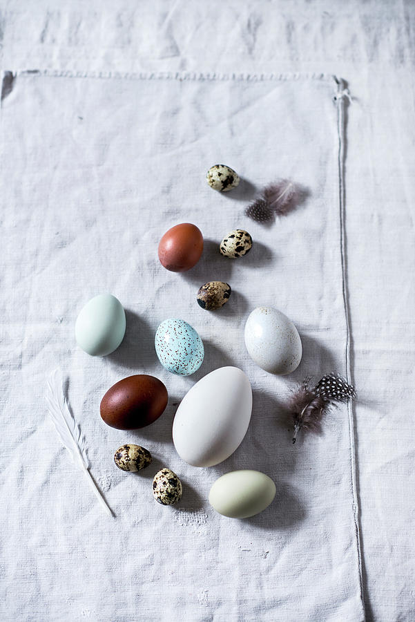 Various Types Of Egg On White Fabric Photograph by Carolin Strothe