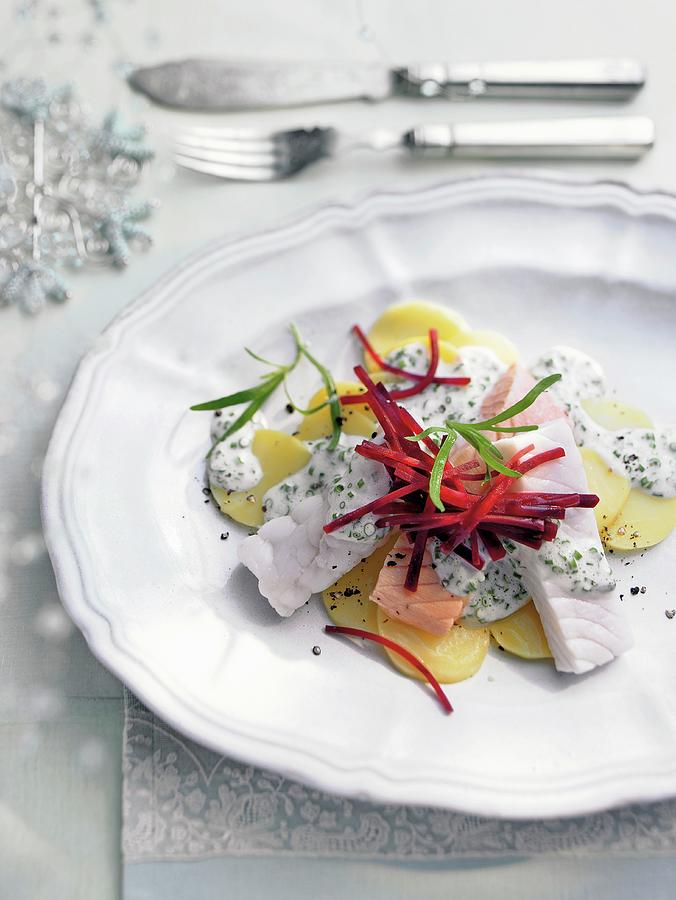 Various Types Of Fish Fillet In A Creamy Herb Sauce And Beetroot Strips christmas Photograph by Jalag / Jan-peter Westermann