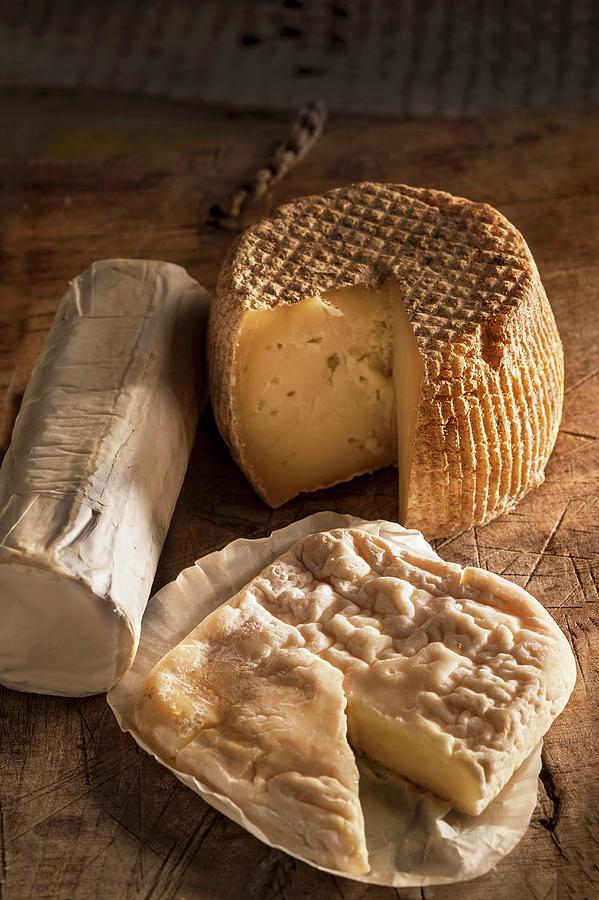 Various Types Of Italian Goats Cheese Photograph by Piga & Catalano S.n.c.