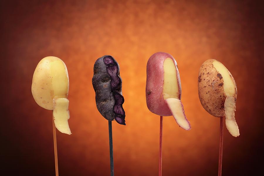 Various Types Of Potatoes On Sticks peeled Photograph by Albert Fritz
