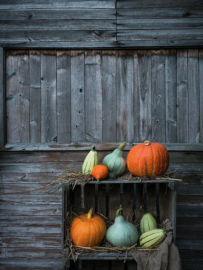 Various Types Of Pumpkin Arranged On A Wooden Box Photograph by Kati Neudert