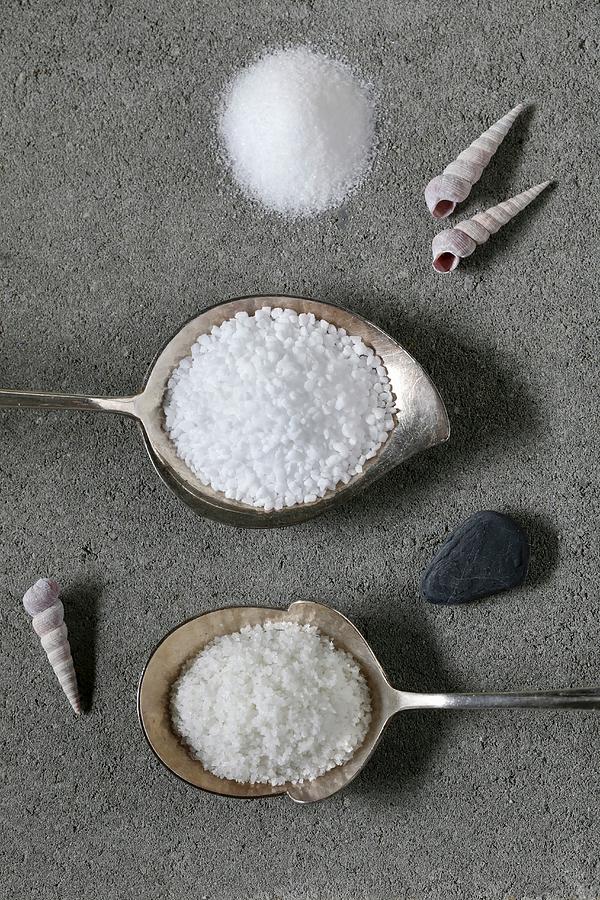 Various Types Of Salt seen From Above Photograph by Lydie Besancon