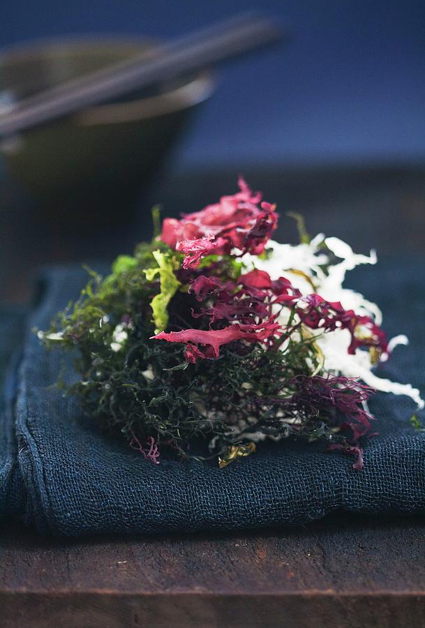Various Types Of Seaweed For A Salad Photograph by Martina Schindler