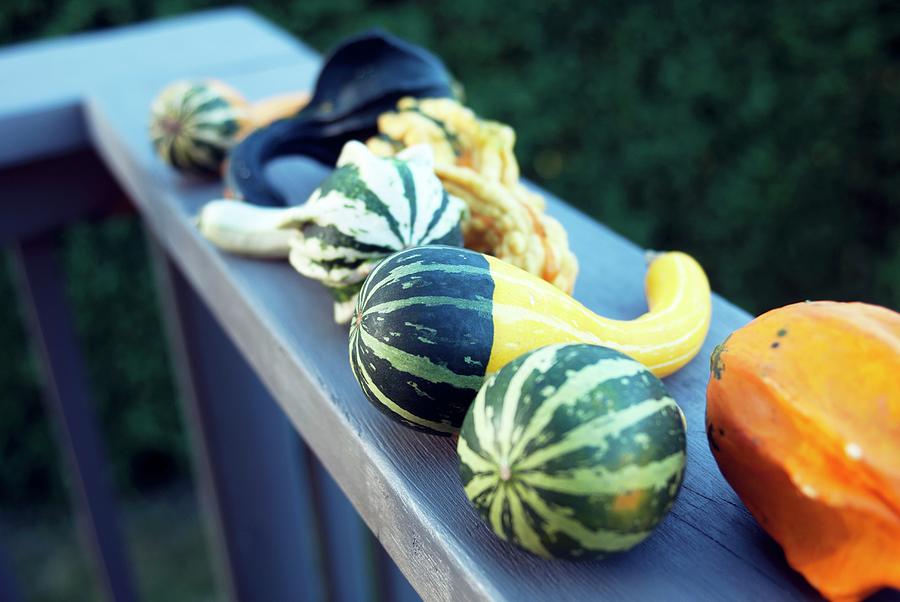 Halloween Photograph - Various Types Of Squash On A Balcony Ledge by Spyros Bourboulis