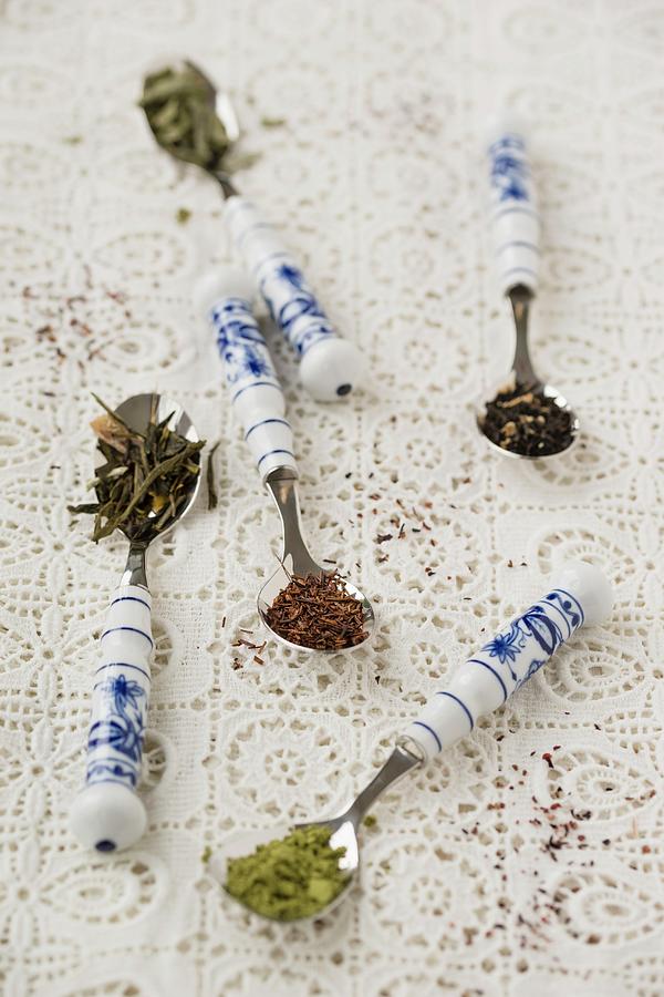 Various Types Of Tea Leaves matcha, Earl Grey, Rooibos, Sage, Jasmine On Spoons Photograph by Mandy Reschke