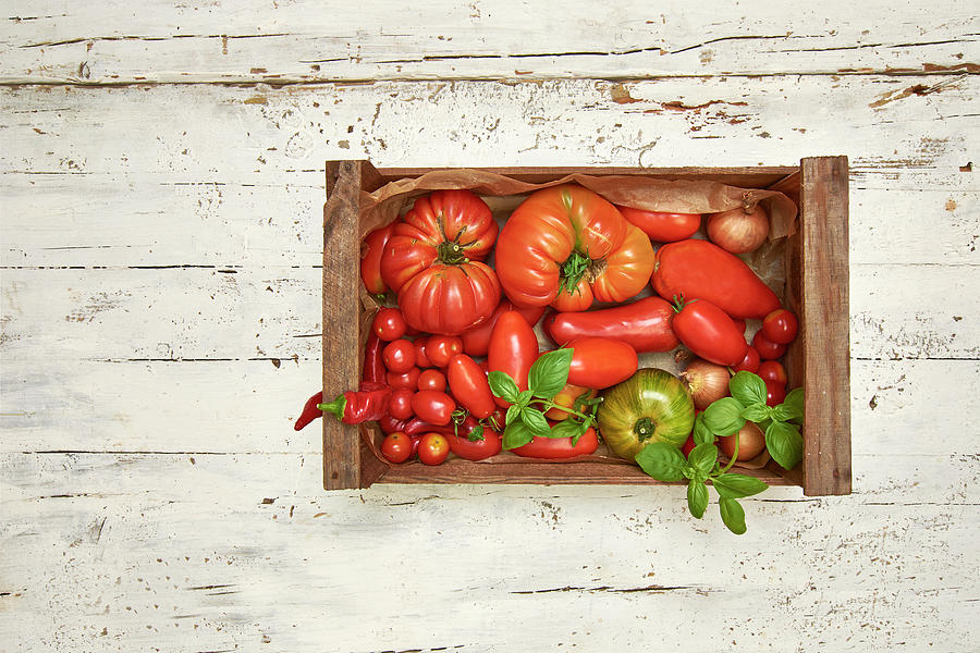 Various Types Of Tomatoes In A Crate On A Light Wooden Background Photograph by Christoph Maria Hnting