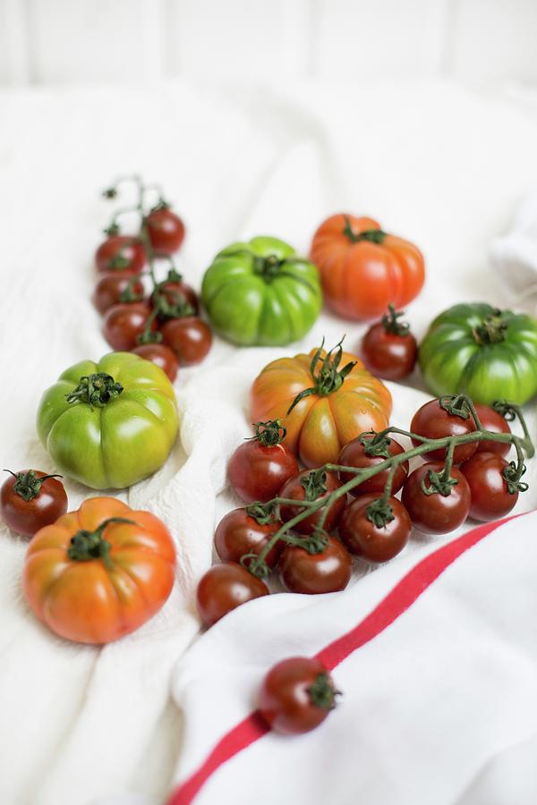Various Types Of Tomatoes Photograph by Sabine Steffens