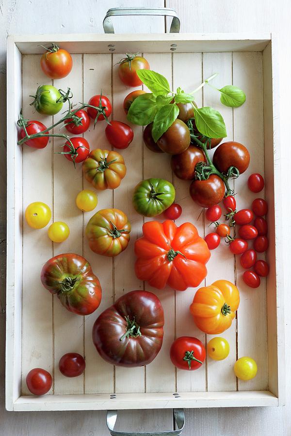 Various Varieties Of Tomatoes Photograph by Fotos Mit Geschmack