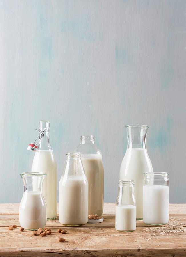 Various Vegan Milk Replacements Photograph by Jennifer Braun