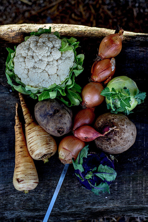Various Vegetables Photograph by Roger Stowell