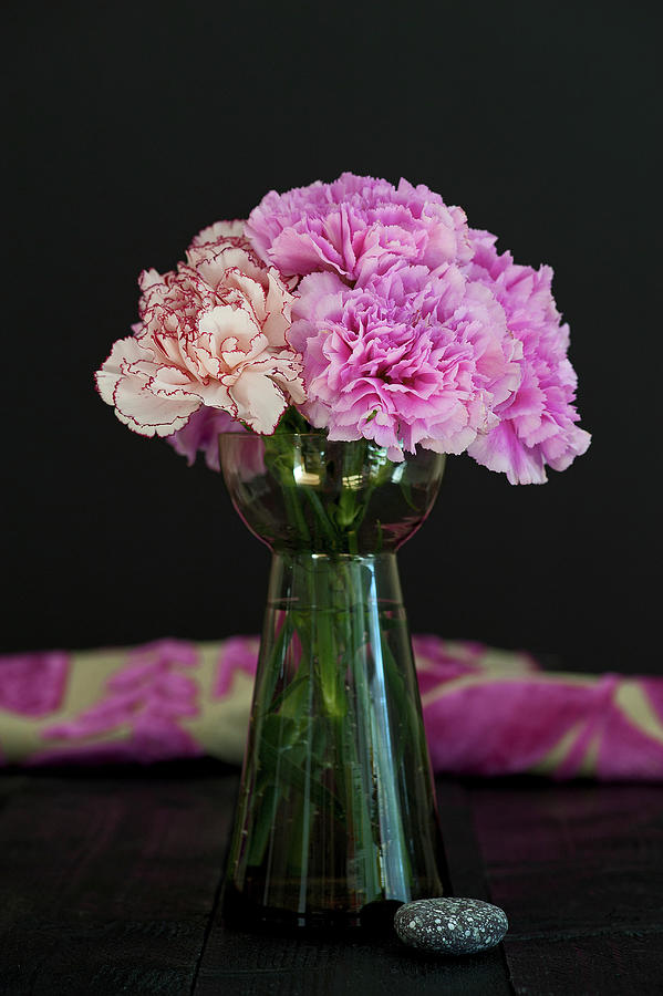 Vase Of Carnations Photograph by Elisabeth Berkau