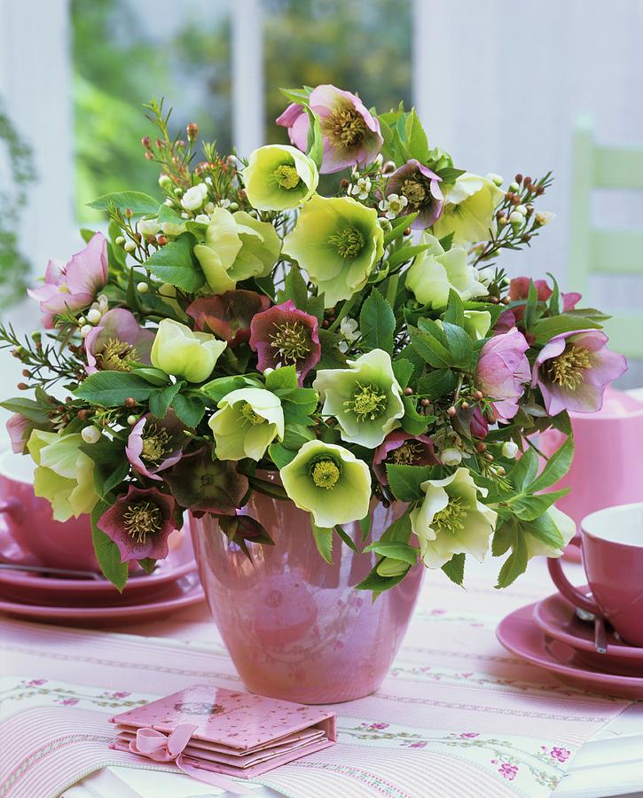 Vase Of Christmas And Lenten Roses And Wax Flowers Photograph by Friedrich Strauss