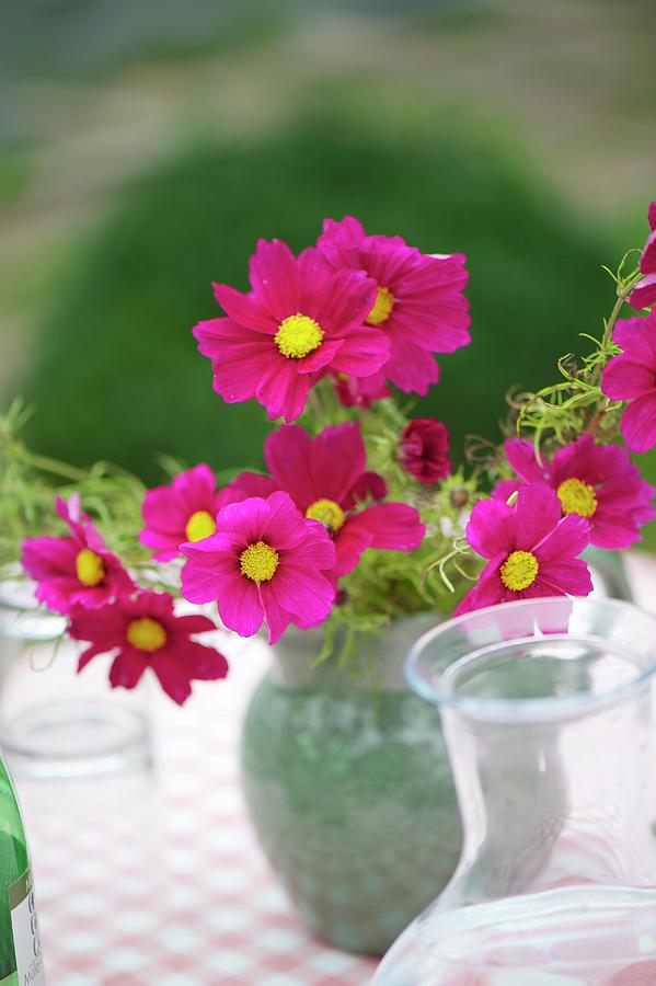 Vase Of Cosmos On Table Outdoors Photograph by Winfried Heinze