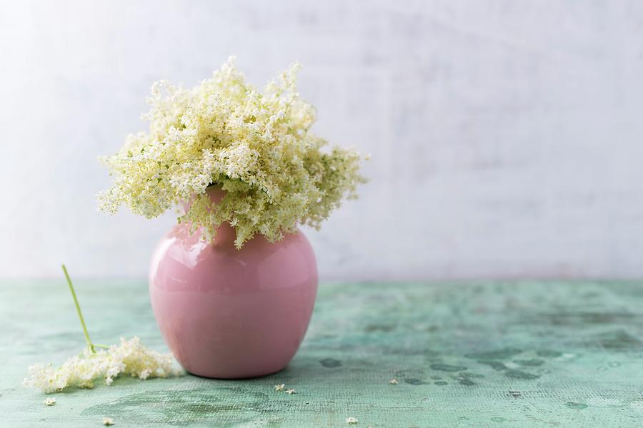 Vase Of Elderflowers Photograph by Mandy Reschke