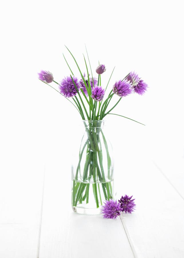 Vase Of Flowering Chives Photograph by Jane Saunders
