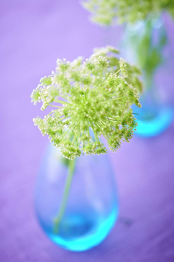 Vase Of Flowers On Wedding Buffet Table Photograph by Bernhard Winkelmann