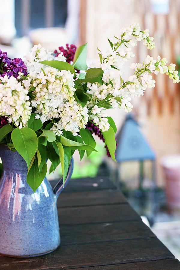 Vase Of Lilac Photograph by Alexandra Panella