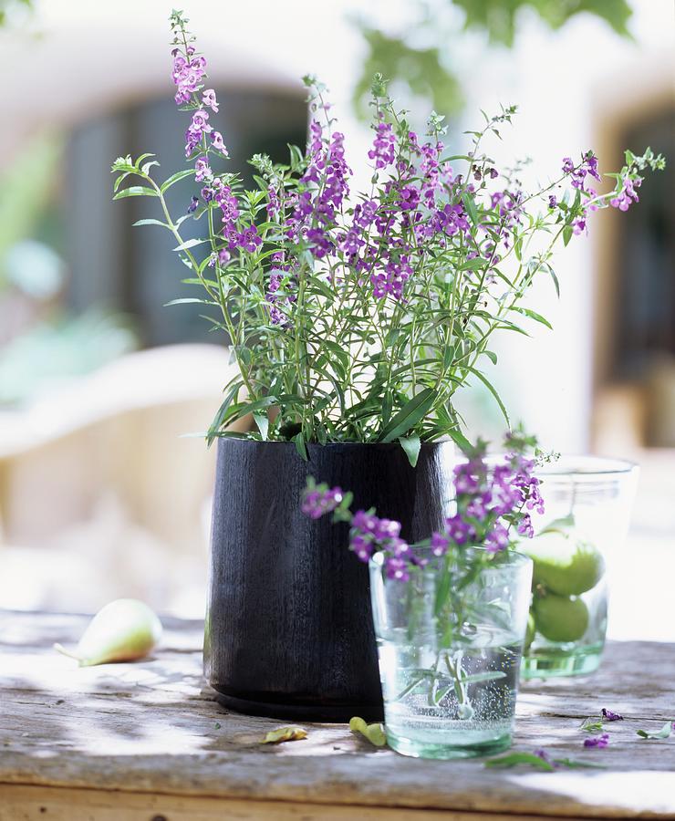 Vase Of Purple Flowers Photograph by Matteo Manduzio