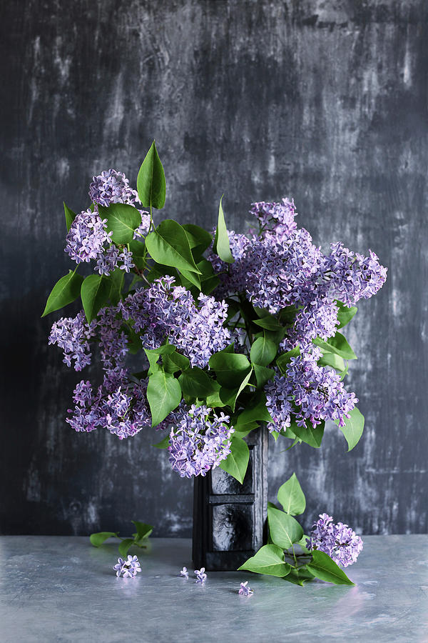 Vase Of Purple Lilac Photograph by Thordis Rggeberg