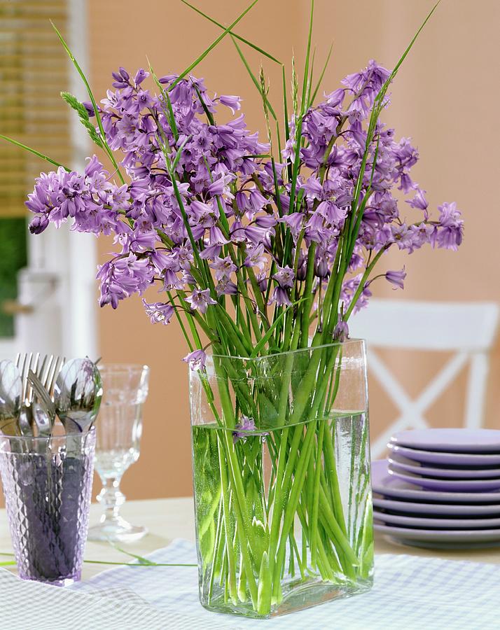 Vase Of Spanish Bluebells And Grasses Photograph by Friedrich Strauss
